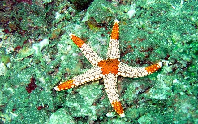 ocean-g69dc081b5_1.jpg