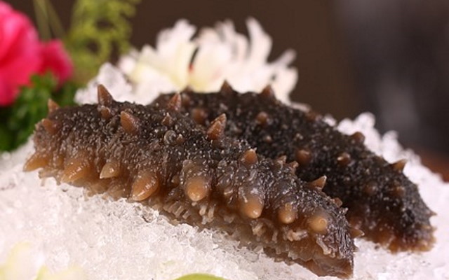 seafood-g26a25074c_1.jpg